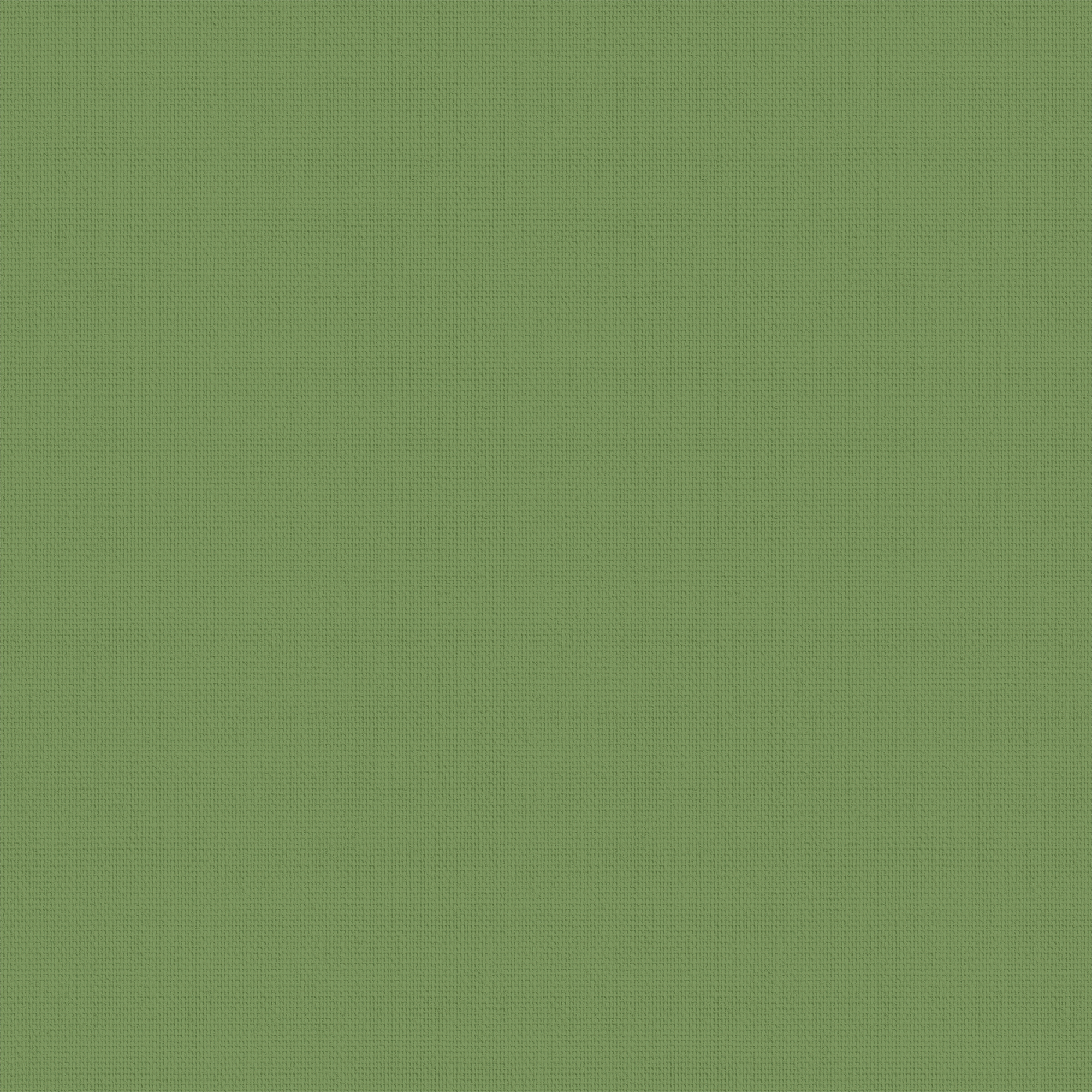 Amazon Grama Roller Blind - Image 3