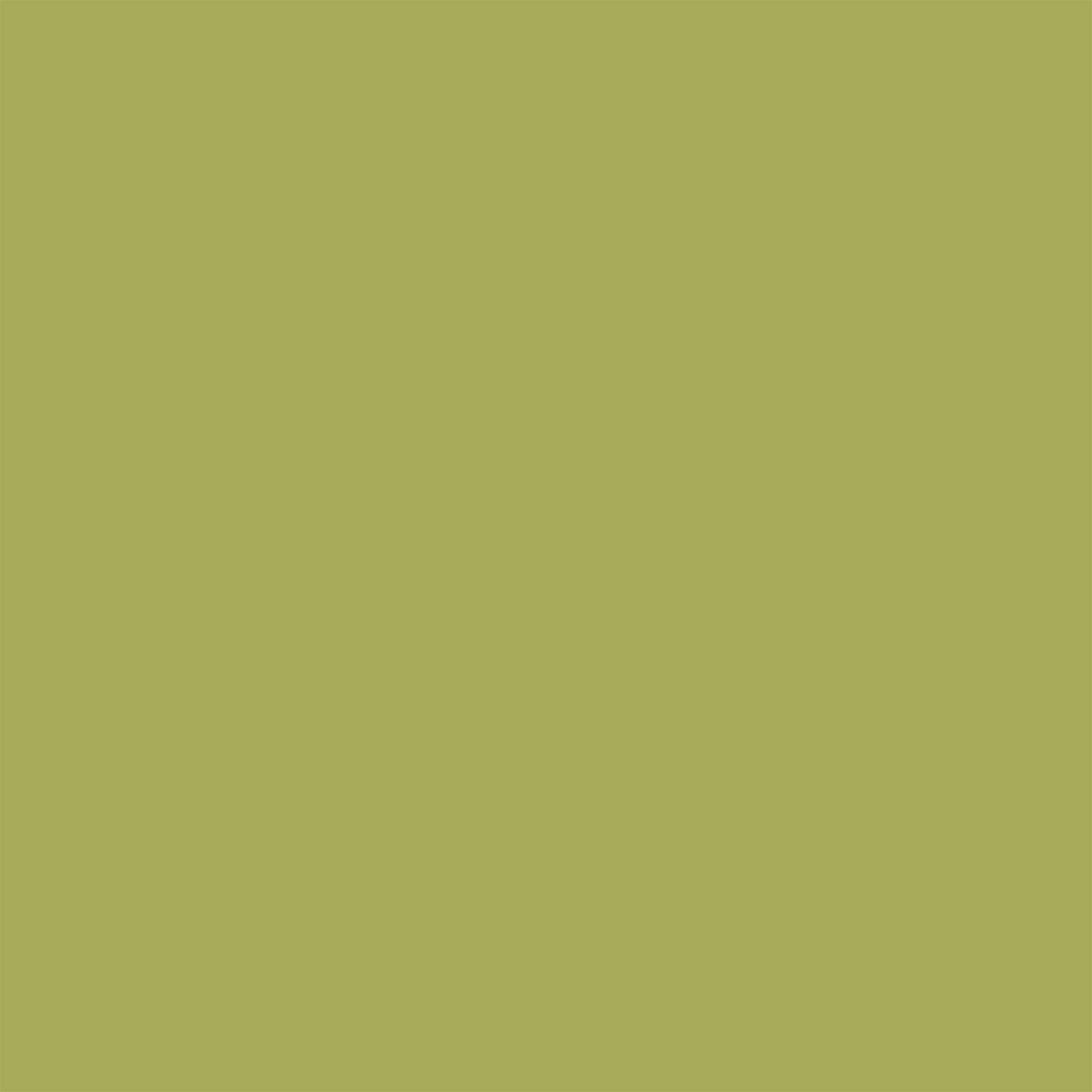 Amazon Vine Roller Blind - Image 3